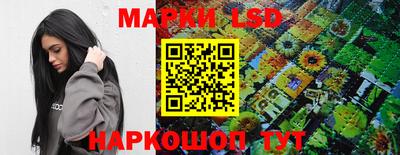 твердый Новозыбков